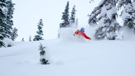 Claire Smallwood Skiing Fernie